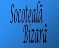 Socoteala Bizara